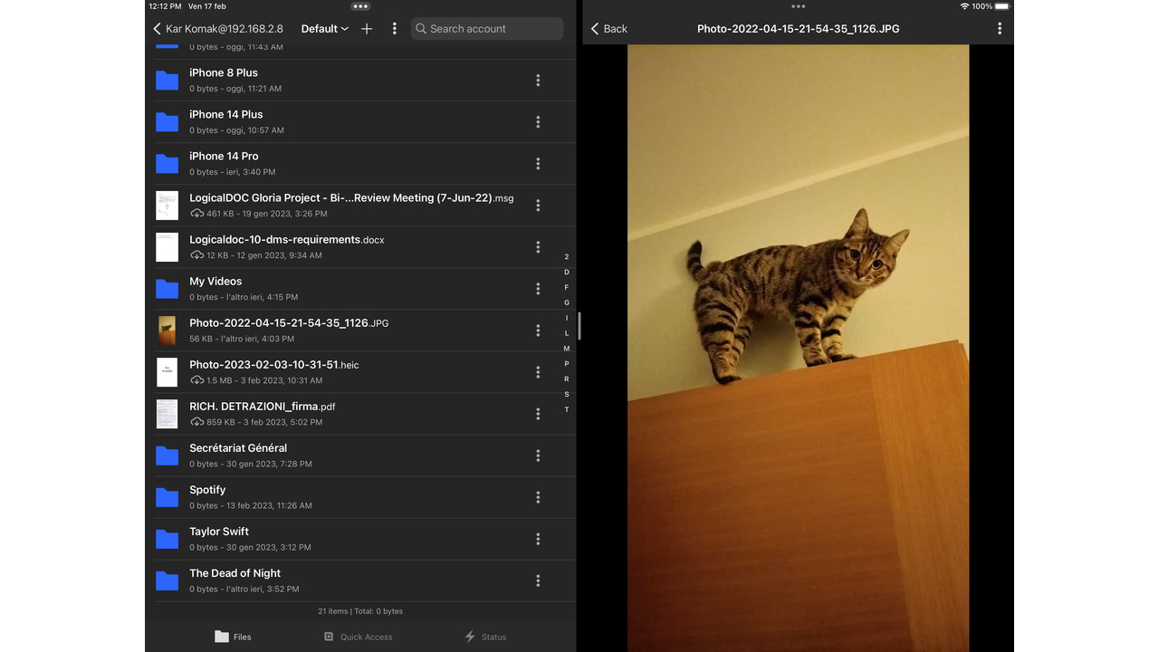 Work Smarter with iPad Multitasking