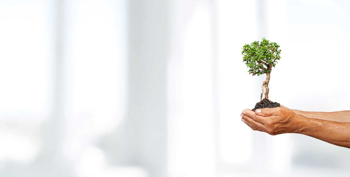 Respect the environment